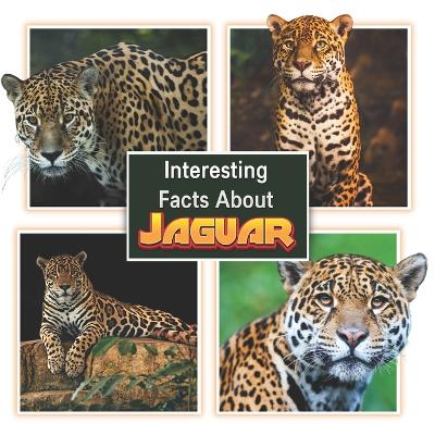 Book cover for Interesting Facts About Jaguars