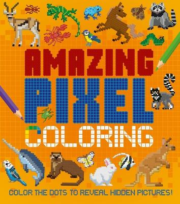 Book cover for Amazing Pixel Coloring