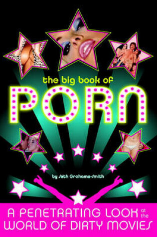 Cover of The Big Book of Porn