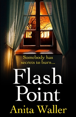 Book cover for Flash Point