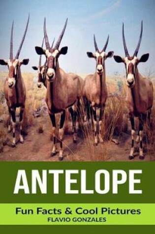 Cover of Antelope