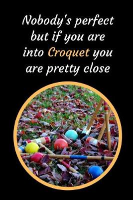 Book cover for Nobody's Perfect But If You Are Into Croquet You Are Pretty Close