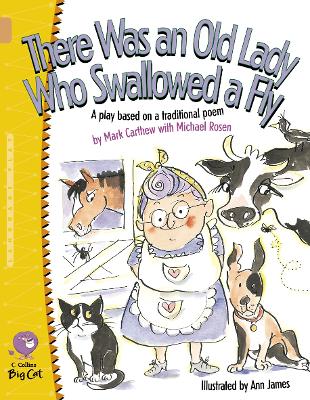 Book cover for There Was an Old Lady Who Swallowed a Fly