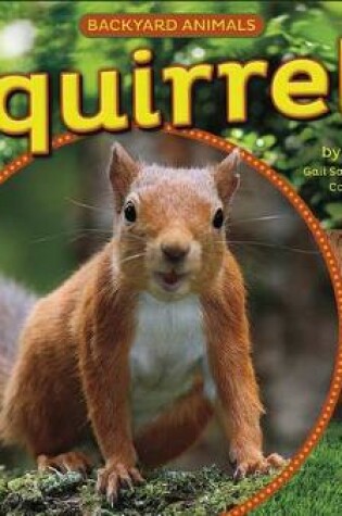 Cover of Squirrels