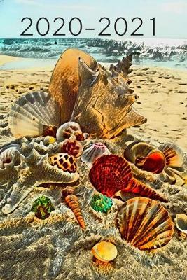 Book cover for Watercolor of Sea Shells on Beach Dated Calendar Planner 2 years To-Do Lists, Tasks, Notes Appointments .