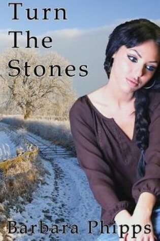 Cover of Turn The Stones