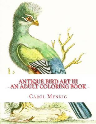 Book cover for Antique Bird Art III - An Adult Coloring Book