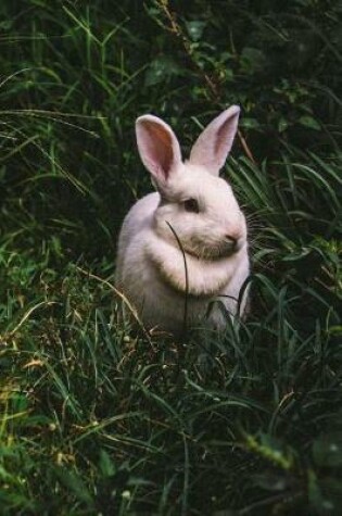 Cover of Bunny Rabbit Sitting in the Grass