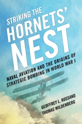 Book cover for Striking the Hornets' Nest