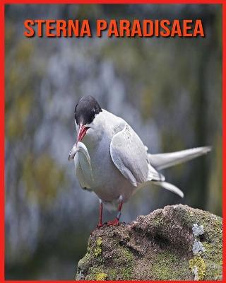 Book cover for Sterna Paradisaea