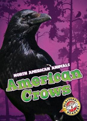 Cover of American Crows