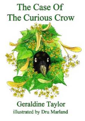 Book cover for The Case of the Curious Crow