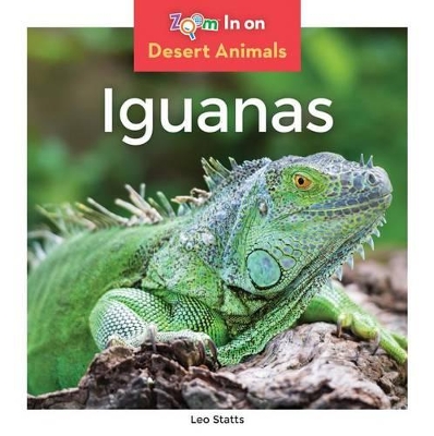 Book cover for Iguanas