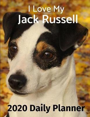 Book cover for I Love My Jack Russell