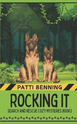 Book cover for Rocking It