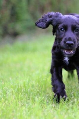 Cover of Cocker Spaniel Puppy Running