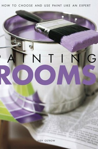 Cover of Painting Rooms