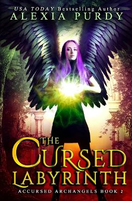 Book cover for The Cursed Labyrinth