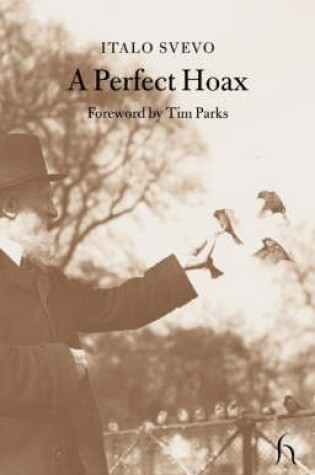 Cover of A Perfect Hoax