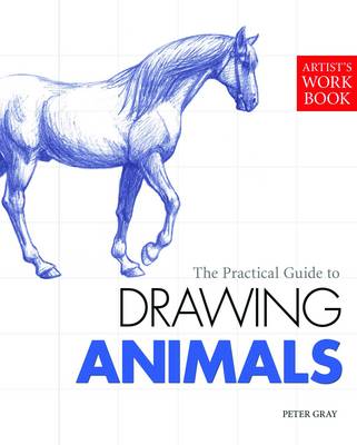 Cover of Drawing Animals