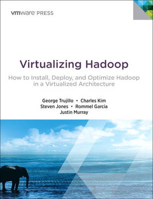 Book cover for Virtualizing Hadoop