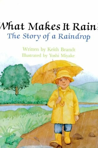 Cover of The What Makes it Rain?