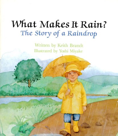 Book cover for The What Makes it Rain?