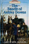 Book cover for The Bandit of Ashley Downs