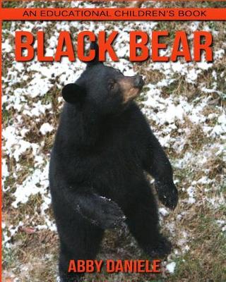 Book cover for Black Bear! An Educational Children's Book about Black Bear with Fun Facts & Photos