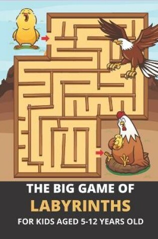 Cover of The big game of labyrinths