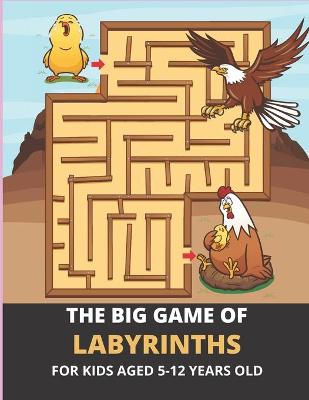 Book cover for The big game of labyrinths