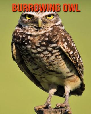 Book cover for Burrowing Owl