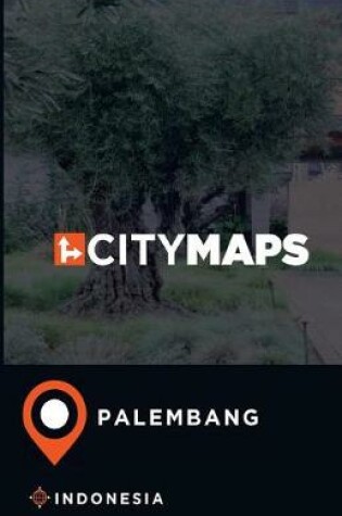 Cover of City Maps Palembang Indonesia