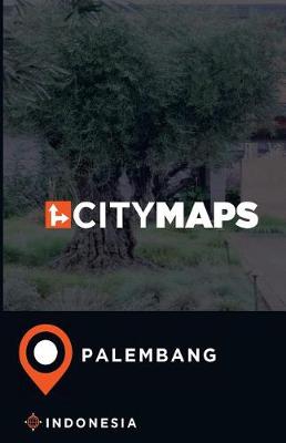 Book cover for City Maps Palembang Indonesia