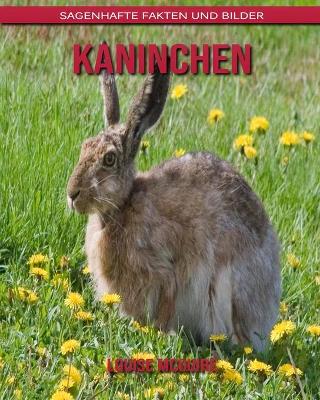 Book cover for Kaninchen