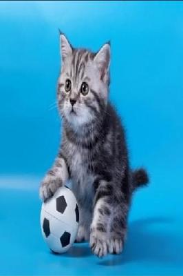 Book cover for Soccer Cat Journal