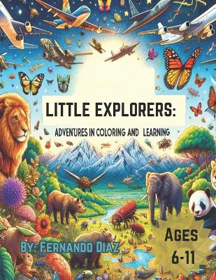 Book cover for Little Explorers