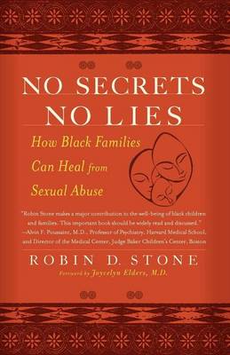 Book cover for No Secrets No Lies