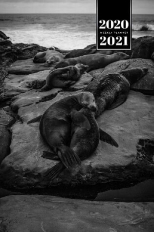 Cover of Seal Manatee Sea Lion Cow Walrus Dugong Week Planner Weekly Organizer Calendar 2020 / 2021 - Black and White