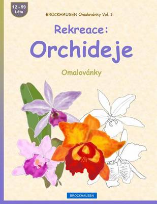 Book cover for Brockhausen Omalovanky Vol. 1 - Rekreace