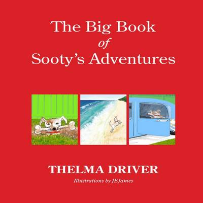 Book cover for Big Book Of Sooty's Adventure