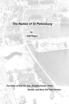 Book cover for The Names of St Petersburg