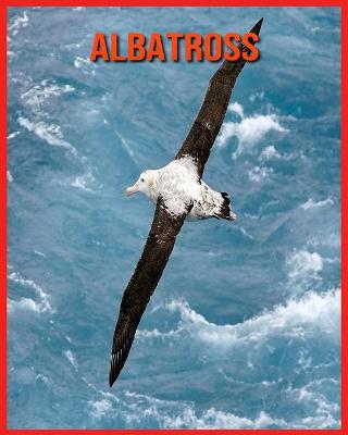 Book cover for Albatross