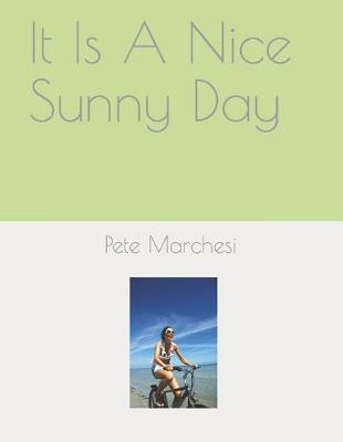 Book cover for It Is A Nice Sunny Day