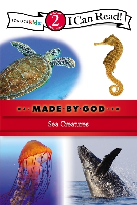 Book cover for Sea Creatures