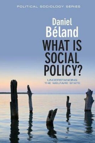 Cover of What is Social Policy?