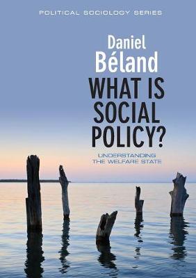 Book cover for What is Social Policy?