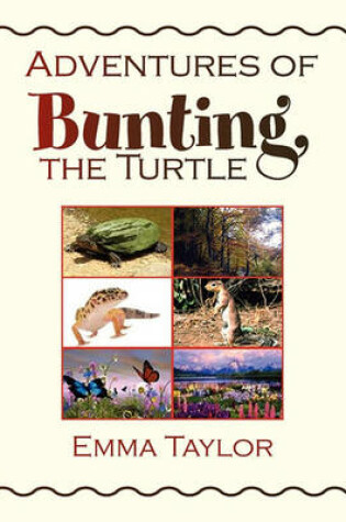 Cover of Adventures of Bunting, the Turtle