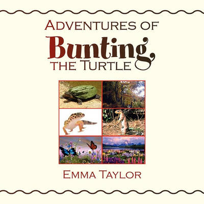 Book cover for Adventures of Bunting, the Turtle