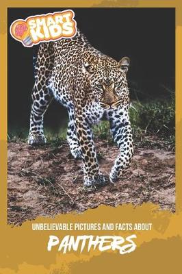 Book cover for Unbelievable Pictures and Facts About Panthers